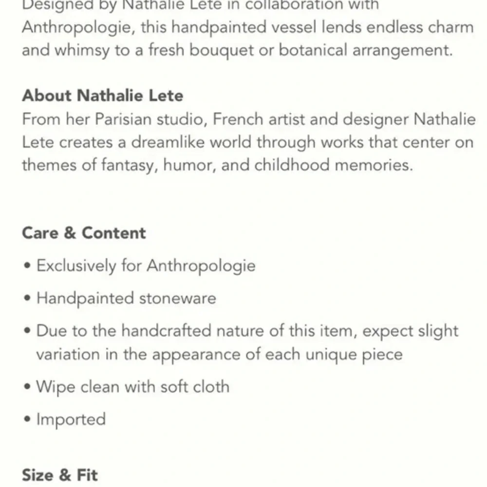 Anthropologie Nathalie Lete Nature Nurture Large Vase Black Bird Crow Cherries